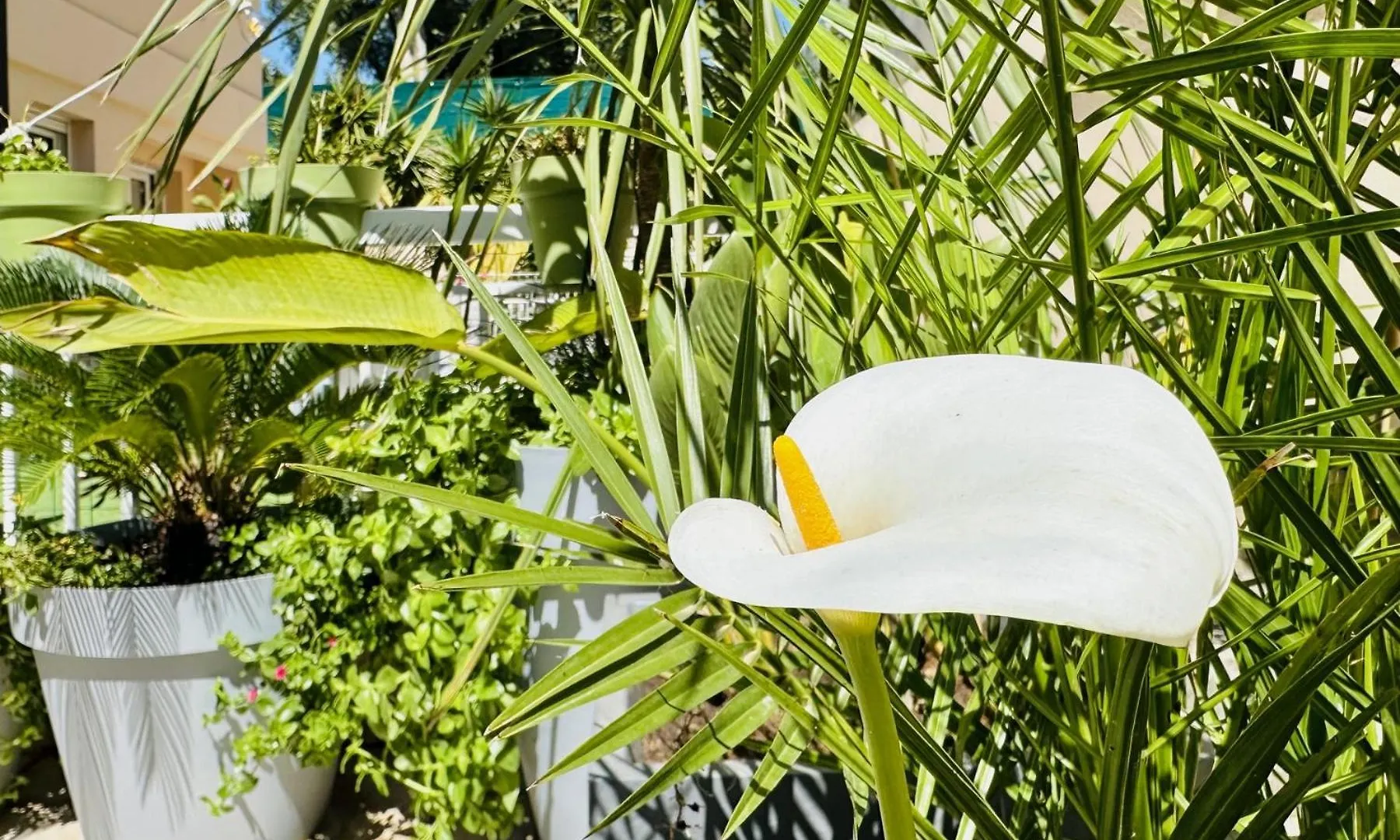 Cannes Ng - Appartement A 10 Mn Du Palais Des Festivals Διαμέρισμα