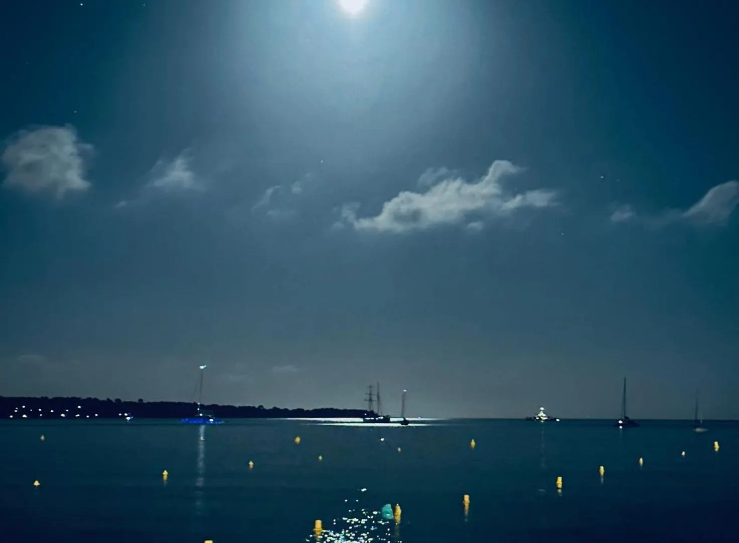 Cannes Ng - Appartement A 10 Mn Du Palais Des Festivals Γαλλία